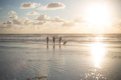 View of calm beach at sunset