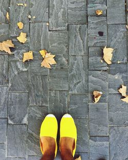 Low section of woman standing on autumn leaves