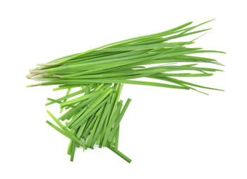 Close-up of scallion against white background