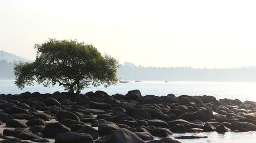 Scenic view of sea against clear sky