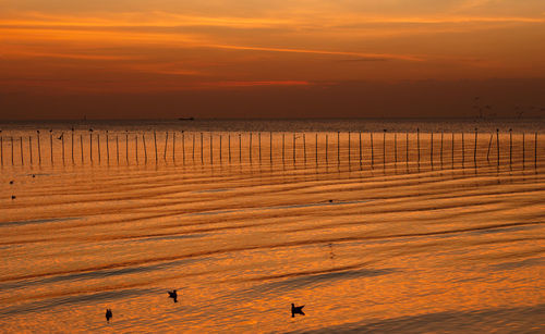 Scenic view of sea against orange sky