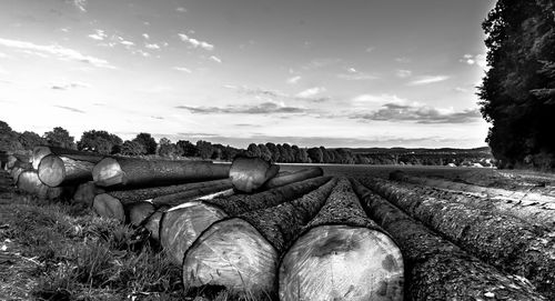 Stack of wood on field against sky