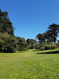 Scenic view of green landscape against clear blue sky