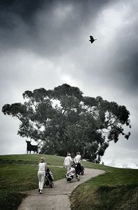 Bird flying over flowers against sky