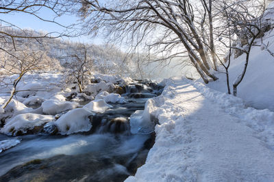 Frozen river amidst bare trees during winter