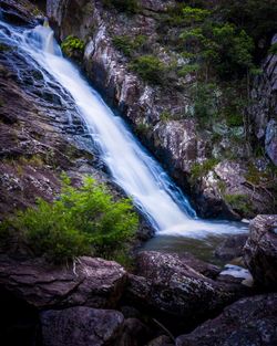 Scenic view of waterfall in forest