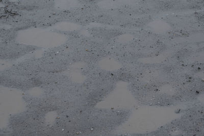 High angle view of wet road during rainy season