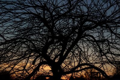 Low angle view of bare tree against sky at sunset