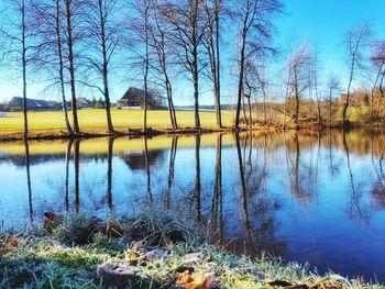 Reflection of bare trees in lake against sky