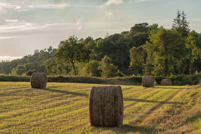 Hay bales on field against sky