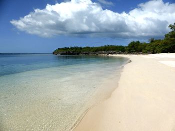 Scenic view of beach