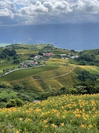 Scenic view of agricultural field against sky