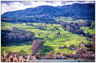 High angle view of trees on landscape against sky