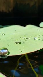 Close-up of water drops on the lake