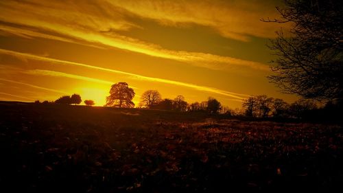 Silhouette trees against sky during sunset