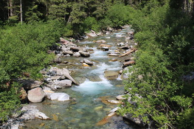 Stream flowing through rocks in forest