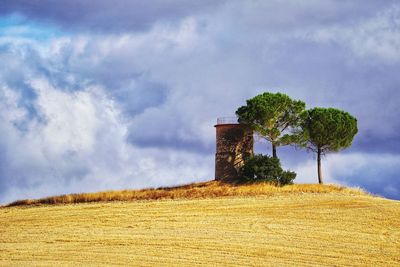 Trees on field against sky