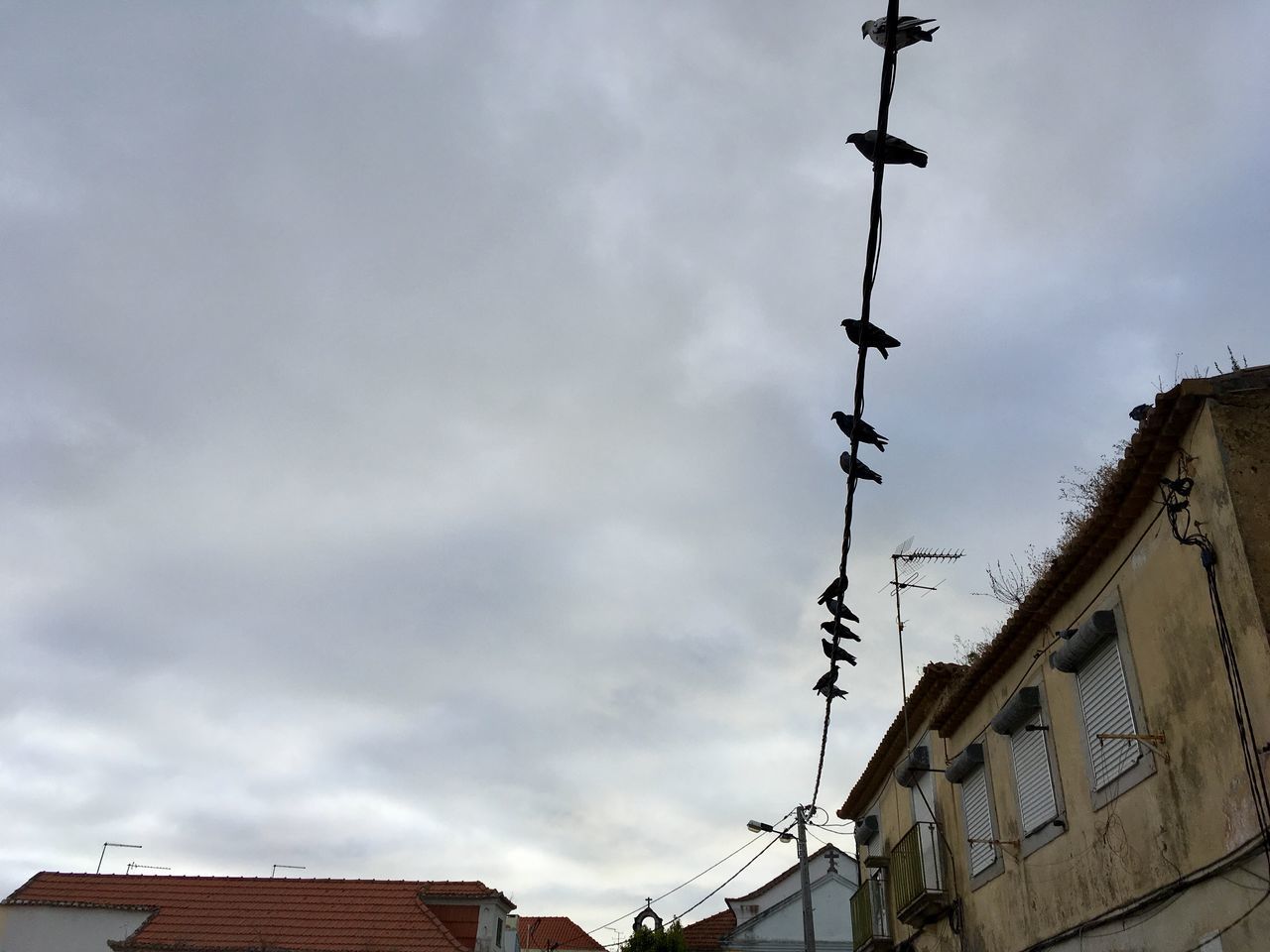 LOW ANGLE VIEW OF COMMUNICATIONS TOWER AGAINST SKY