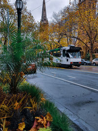 Cars on road by trees against sky in city