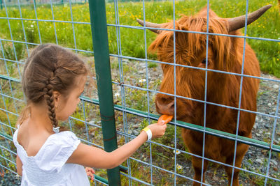 Girl standing by fence