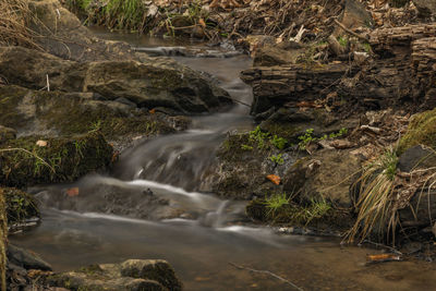 Stream flowing through rocks in forest