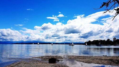 Scenic view of lake against blue sky