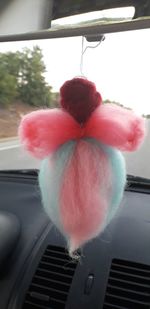 Close-up of pink flower hanging on car window