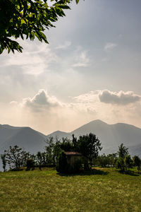 Scenic view of field against sky