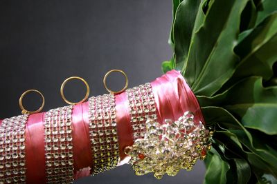 Close-up of pink flowers