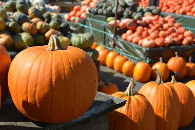 Close-up of pumpkins for sale in market