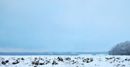 Scenic view of field against blue sky during winter