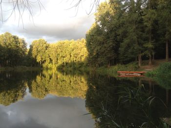 Reflection of trees in lake