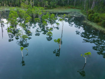 Scenic view of lake