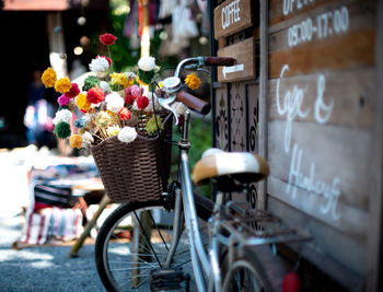 Close-up of flowering plants in basket