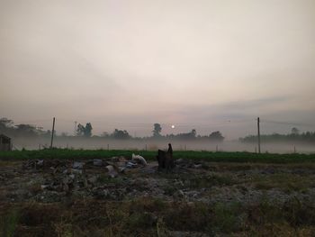 Scenic view of field against sky during sunset