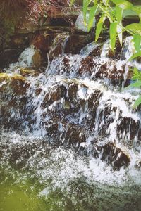 Scenic view of waterfall