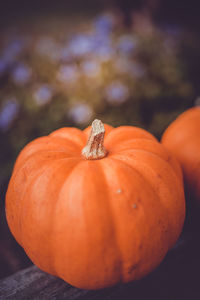 Two little pumpkins on a wooden table with beautiful blurred colorful background. vintage tones