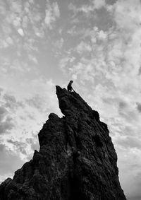 Low angle view of bird perching on rock