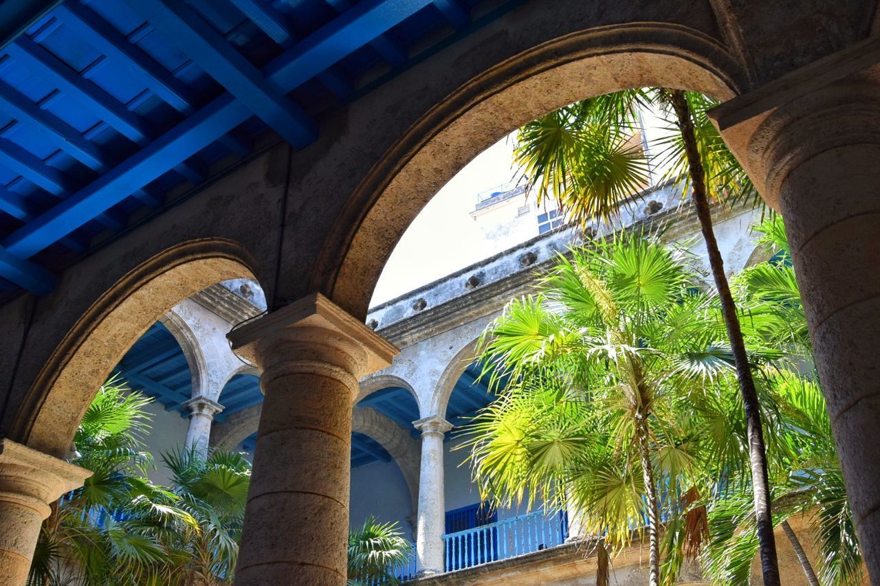 LOW ANGLE VIEW OF PALM TREES AND HISTORIC BUILDING