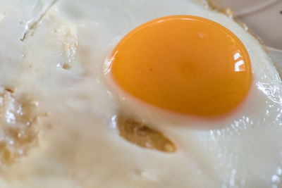 Close-up of juice in plate