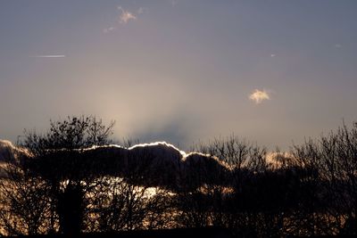 Silhouette trees on landscape against sky at sunset