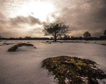 Scenic view of landscape against sky during winter