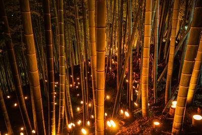 Full frame shot of illuminated lights at night