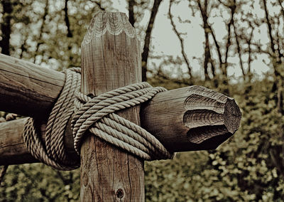 Close-up of rope tied on wooden post