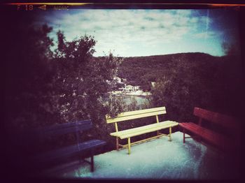 Empty bench against trees