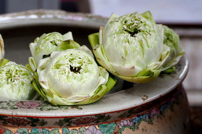 Close-up of vegetables in plate on table