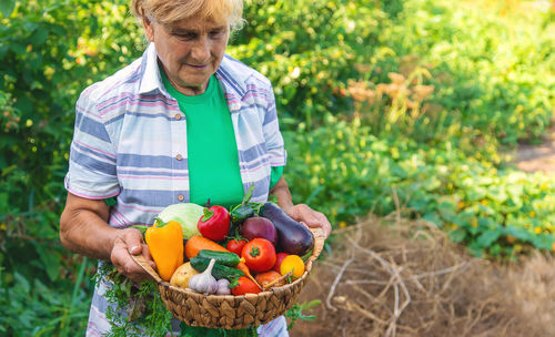 Senior female farmer holding vegetables in basket at farm