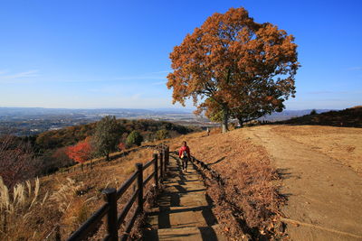 Rear view of woman on steps against sky during autumn