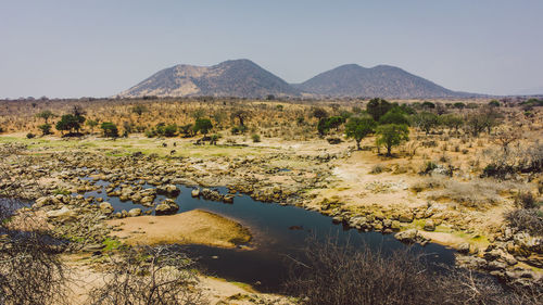 Scenic view of savanna landscape with mountain against clear sky in ruaha national park in tanzania 