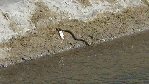 Close-up of water